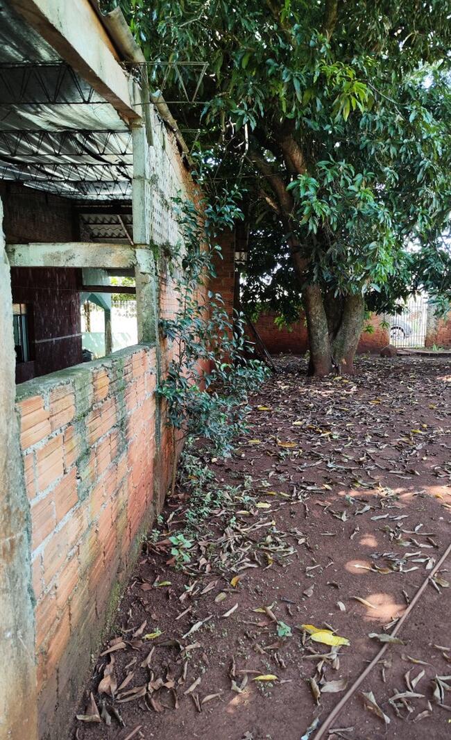 Casa no Jardim Tropical (foto 9 de 18)