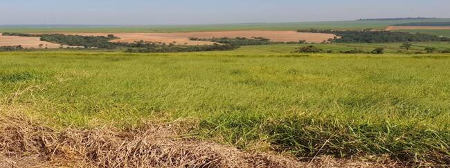 Imóvel em Casa Branca/SP. - leilão extrajudicial - Casa Branca SP - lance mínimo R$ 4.000.000