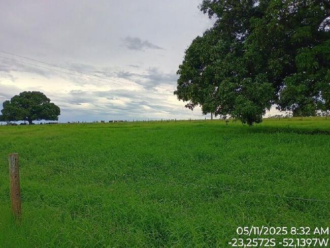 Imóvel - Presidente Castelo Branco/pr, localizado em Presidente Castelo Branco - PR