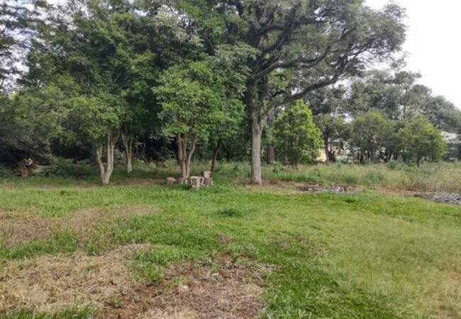 Comercial no Industrial Guaratú (foto 28 de 29)