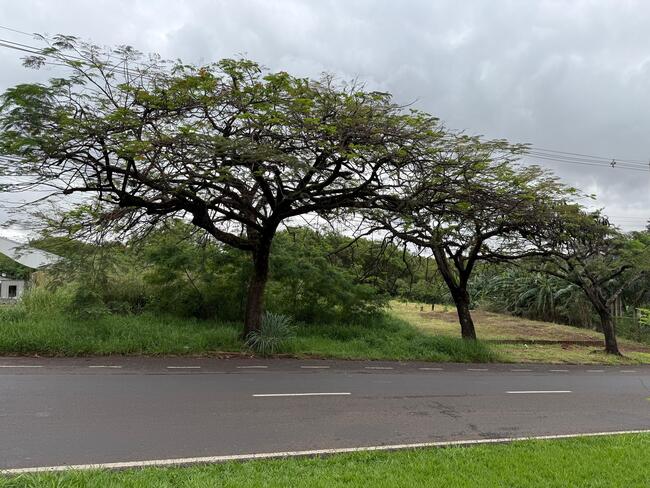 Terreno em Maringá/PR — foto 1
