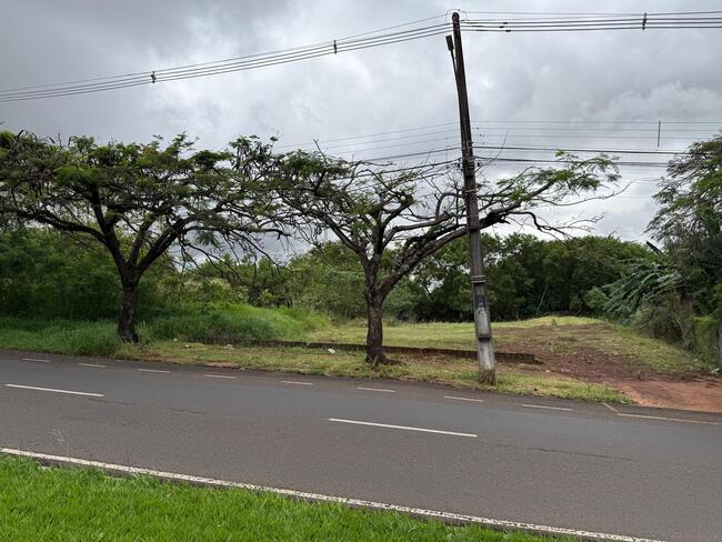 Terreno (foto 4 de 7)