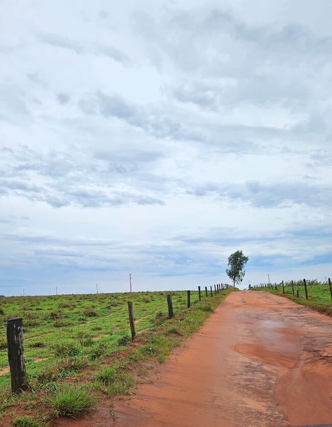 Imagem 3