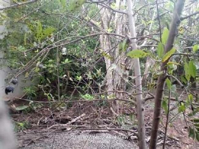 Terreno no Santos Dumont (foto 2 de 9)
