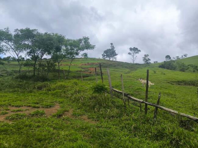 Gleba (foto 21 de 27)
