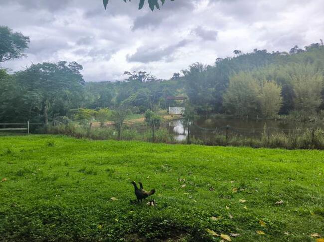 Gleba (foto 22 de 27)