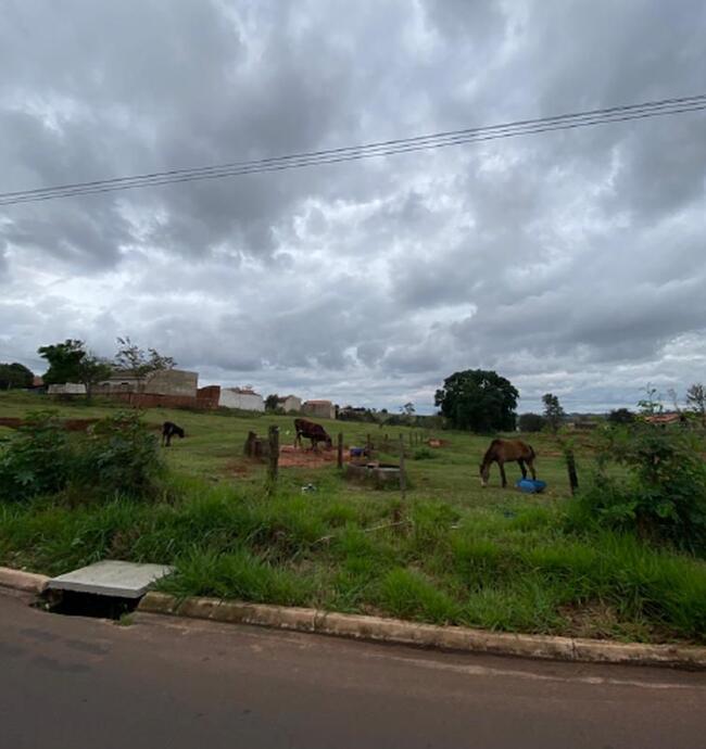 Imóvbel Rural Em Pérola/pr, localizado em Pérola - PR