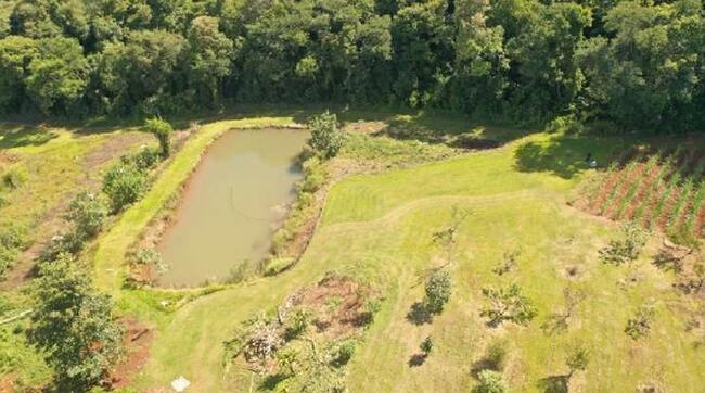 Parte Ideal De Imóve Rural, localizado em Nova Prata Do Iguaçu - PR