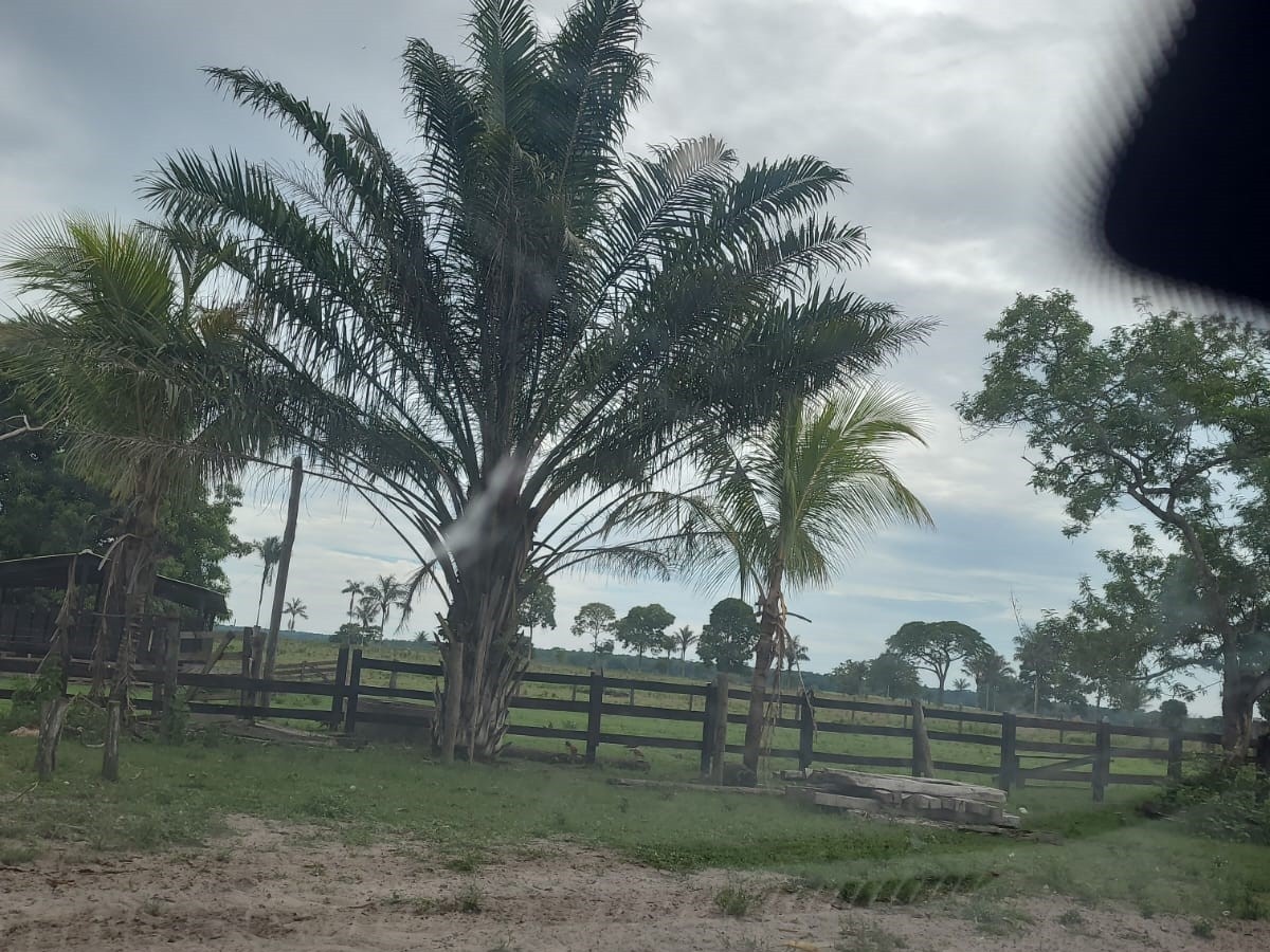 Imóvel rural — 24,6144 ha — Chupinguaia/RO
