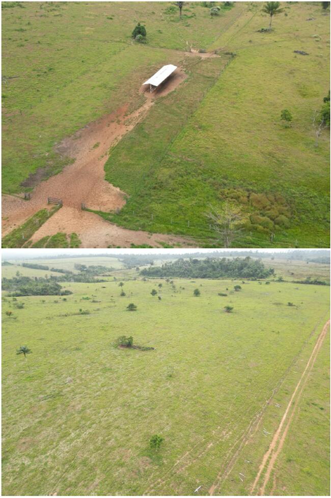 Imóvel Rural Em Vilhena/ro, localizado em Vilhena - RO