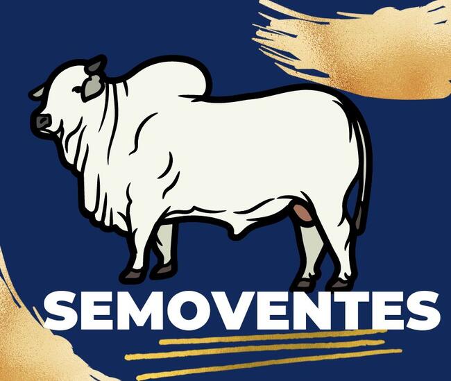 2ª VARA CIVEL DE VILHENA/RO