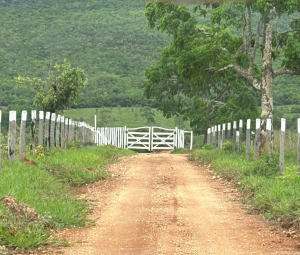 fazenda pé da serra com área de 390,00 ha em em Joaquim Felicio - MG