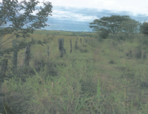 Sítio em  Mirandópolis com 12,27,27 ha