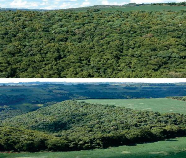 lote rural no município de são valentim/RS, com área de 124.234,20 ha
