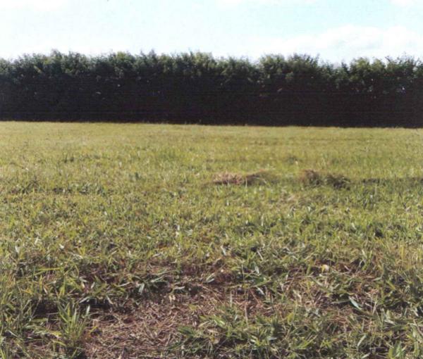 terreno em avaré encerrando a área de 350,00 m²