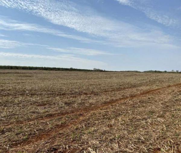 Área Rural com 86,1907 ha denominada Fazenda Santa Fé em sacramento/MG