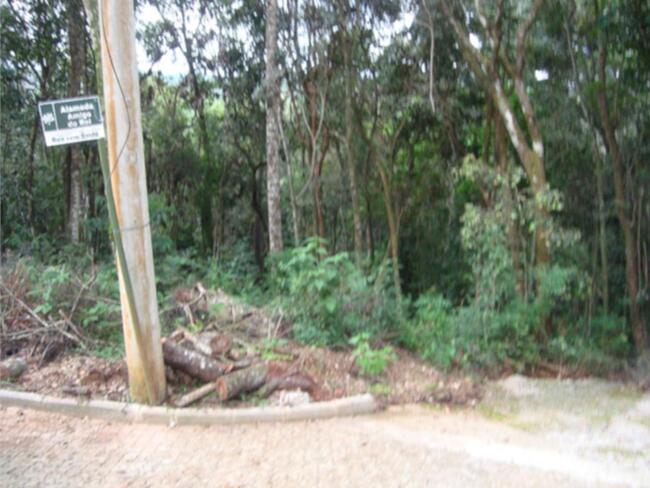 03 Terrenos No Loteamento Pasárgada Em Nova Lima/mg, localizado em Nova Lima - MG