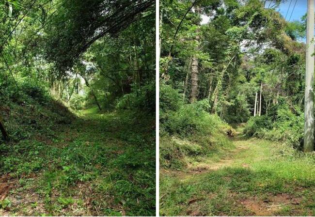 Fazenda Pedra Branca Em Queluz, localizado em Areias - SP