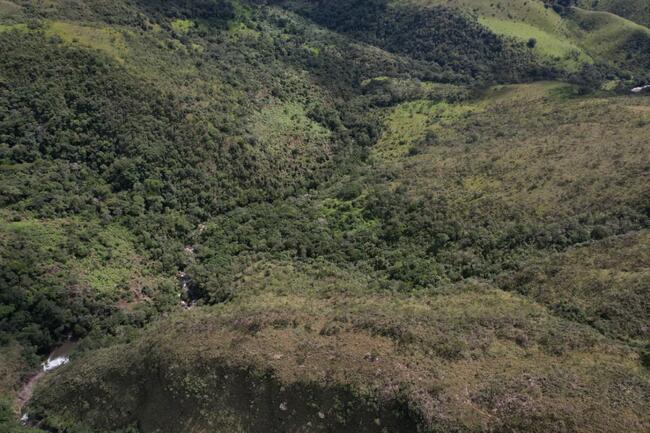 Fazenda Canteiros Em Passos/mg, localizado em São João Batista Do Glória - MG