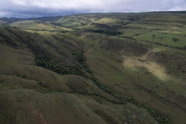 Fazenda Canteiros Em Passos/mg, localizado em São João Batista Do Glória - MG