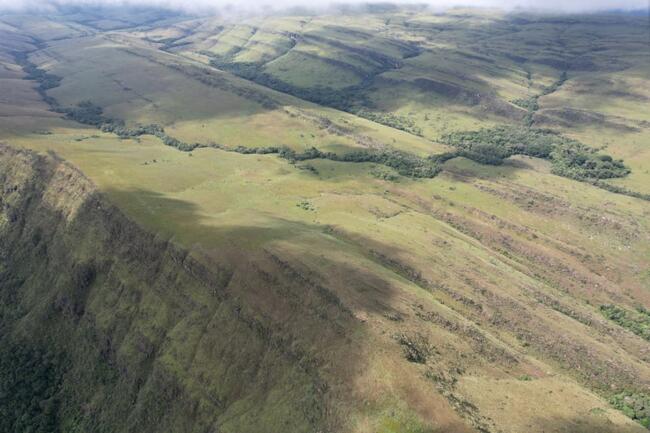 Fazenda Canteiros Em Passos/mg, localizado em São João Batista Do Glória - MG