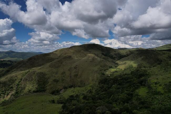 Fazenda Canteiros Em Passos/mg, localizado em São João Batista Do Glória - MG