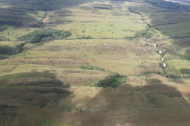 Fazenda Canteiros Em Passos/mg, localizado em São João Batista Do Glória - MG
