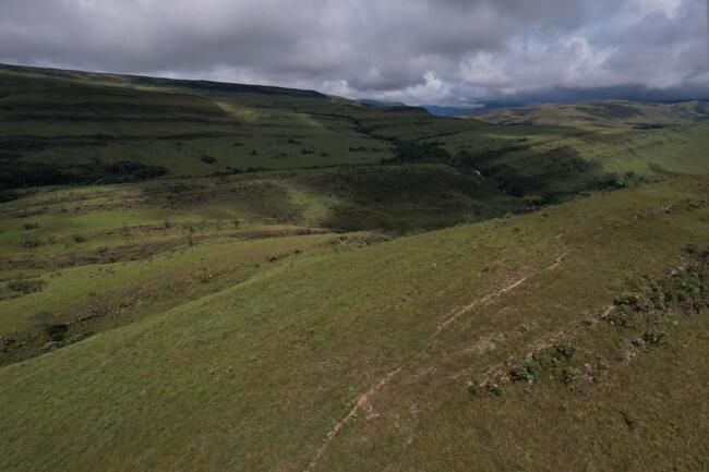 Fazenda Canteiros Em Passos/mg, localizado em São João Batista Do Glória - MG