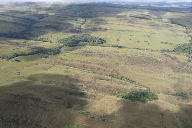 Fazenda Canteiros Em Passos/mg, localizado em São João Batista Do Glória - MG