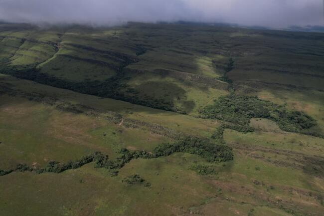Fazenda Canteiros Em Passos/mg, localizado em São João Batista Do Glória - MG