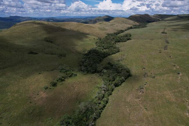 Fazenda Canteiros Em Passos/mg, localizado em São João Batista Do Glória - MG