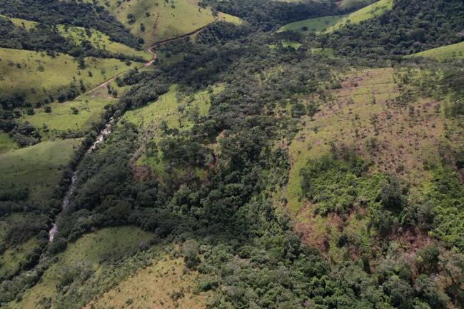 Fazenda Canteiros Em Passos/mg, localizado em São João Batista Do Glória - MG