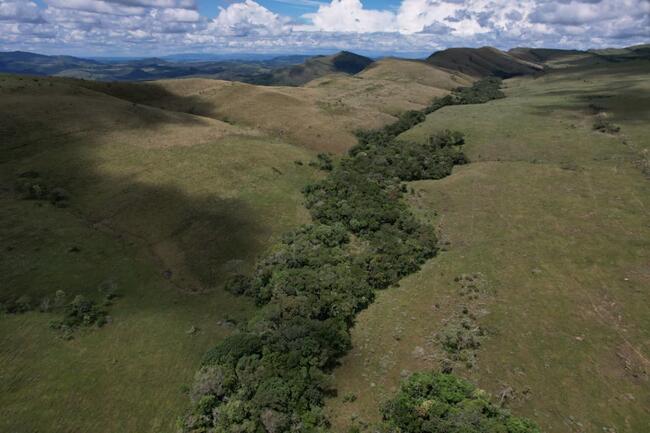 Fazenda Canteiros Em Passos/mg, localizado em São João Batista Do Glória - MG