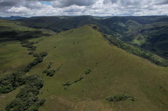 Fazenda Canteiros Em Passos/mg, localizado em São João Batista Do Glória - MG