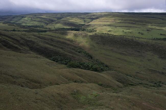 Fazenda Canteiros Em Passos/mg, localizado em São João Batista Do Glória - MG
