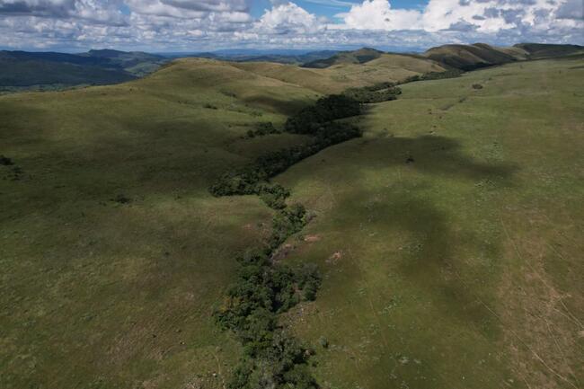 Fazenda Canteiros Em Passos/mg, localizado em São João Batista Do Glória - MG