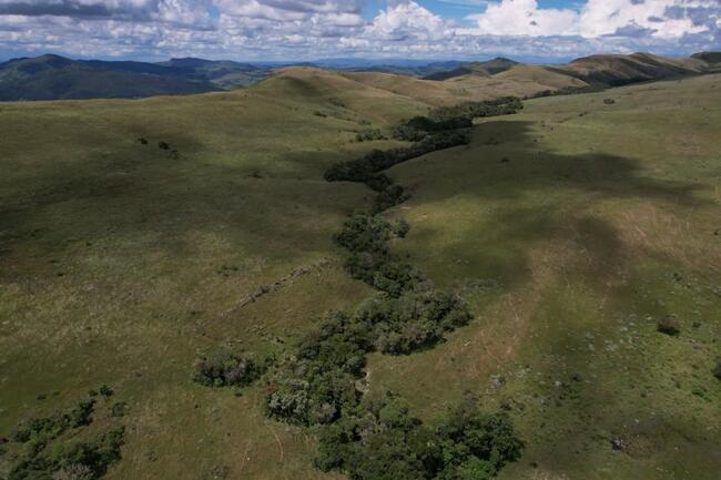Fazenda Canteiros Em Passos/mg, localizado em São João Batista Do Glória - MG