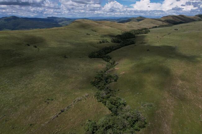 Fazenda Canteiros Em Passos/mg, localizado em São João Batista Do Glória - MG