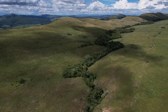 Fazenda Canteiros Em Passos/mg, localizado em São João Batista Do Glória - MG