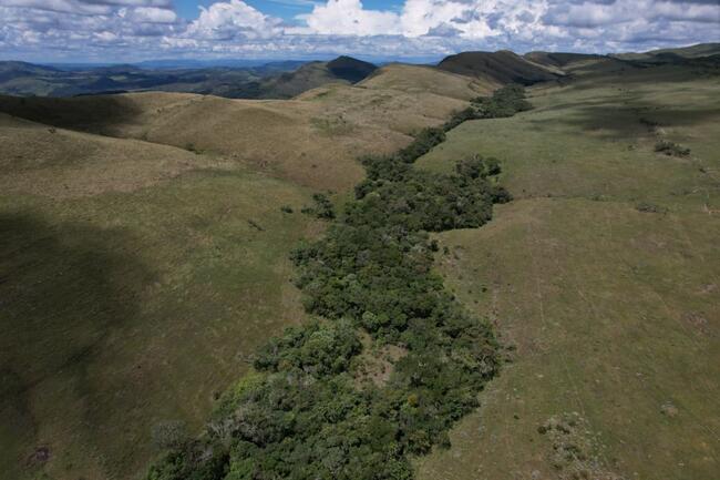 Fazenda Canteiros Em Passos/mg, localizado em São João Batista Do Glória - MG