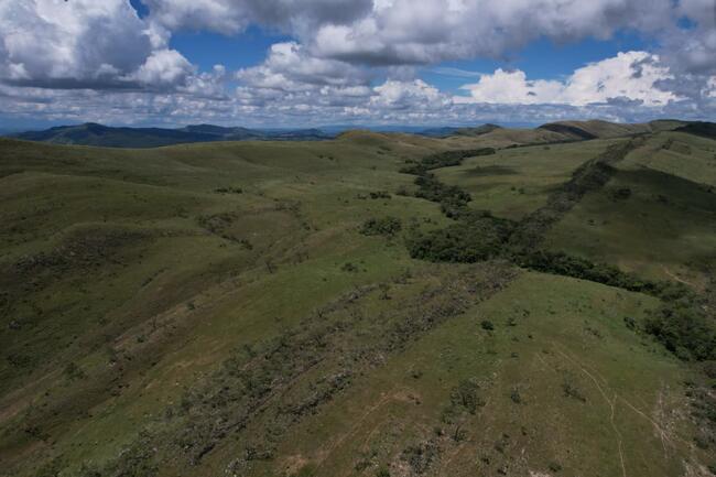 Fazenda Canteiros Em Passos/mg, localizado em São João Batista Do Glória - MG