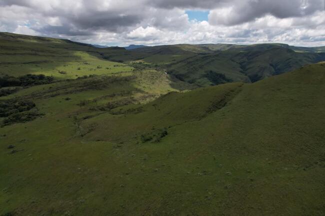 Fazenda Canteiros Em Passos/mg, localizado em São João Batista Do Glória - MG