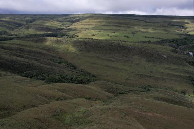 Fazenda Canteiros Em Passos/mg, localizado em São João Batista Do Glória - MG