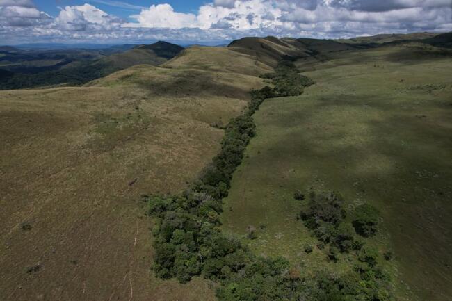 Fazenda Canteiros Em Passos/mg, localizado em São João Batista Do Glória - MG