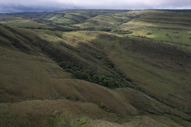 Fazenda Canteiros Em Passos/mg, localizado em São João Batista Do Glória - MG