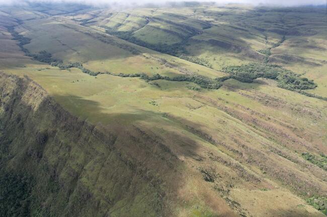 Fazenda Canteiros Em Passos/mg, localizado em São João Batista Do Glória - MG