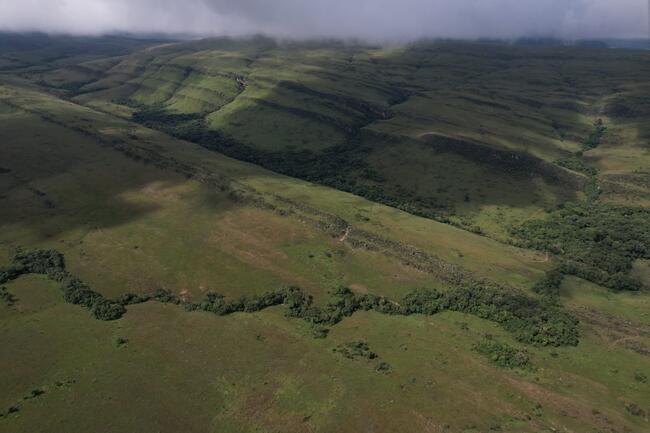 Fazenda Canteiros Em Passos/mg, localizado em São João Batista Do Glória - MG