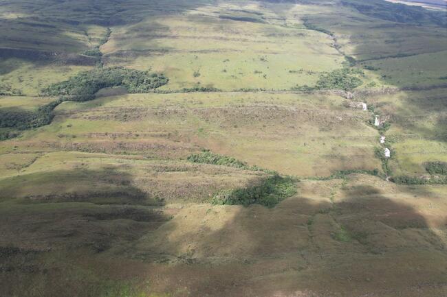 Fazenda Canteiros Em Passos/mg, localizado em São João Batista Do Glória - MG