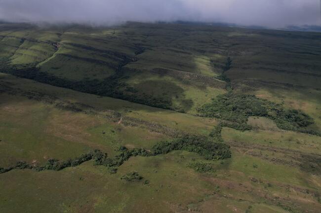 Fazenda Canteiros Em Passos/mg, localizado em São João Batista Do Glória - MG
