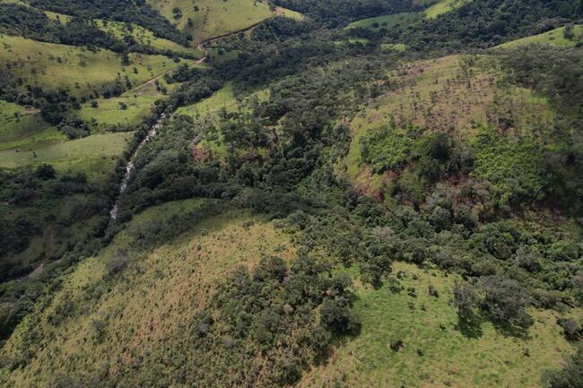 Fazenda Canteiros Em Passos/mg, localizado em São João Batista Do Glória - MG